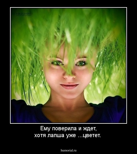 Ему поверила и ждет, хотя лапша уже ...цветет.