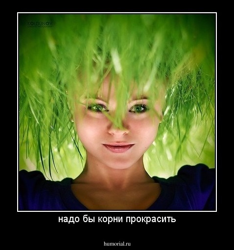 надо бы корни прокрасить