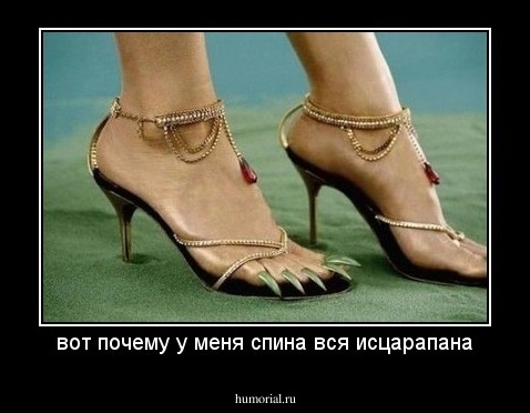 вот почему у меня спина вся исцарапана