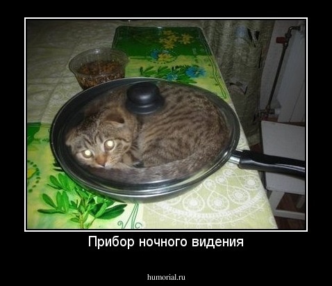 Прибор ночного видения