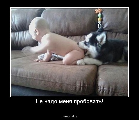 Не надо меня пробовать!