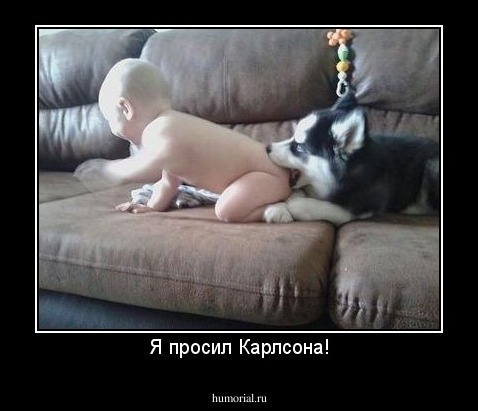 Я просил Карлсона!
