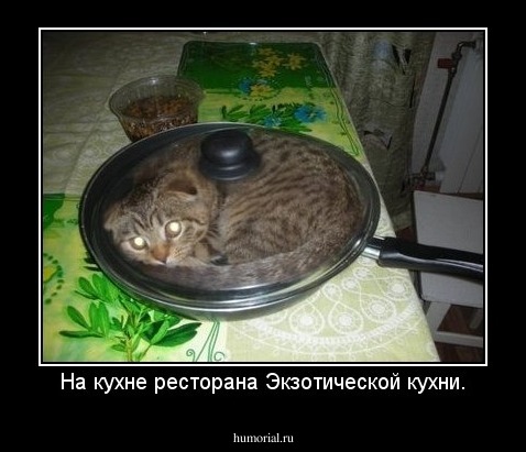 На кухне ресторана Экзотической кухни.
