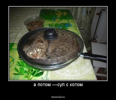 а потом ---суп с котом