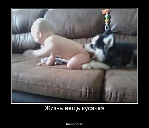 Жизнь вещь кусачая