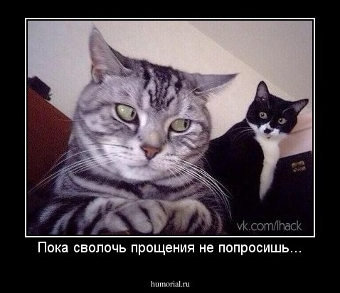 Пока сволочь прощения не попросишь...