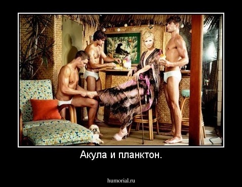 Акула и планктон.