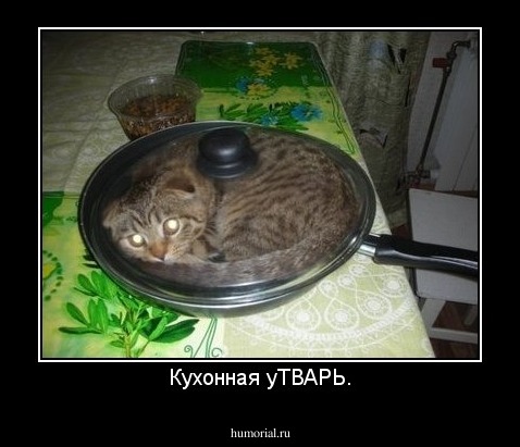 Кухонная уТВАРЬ.
