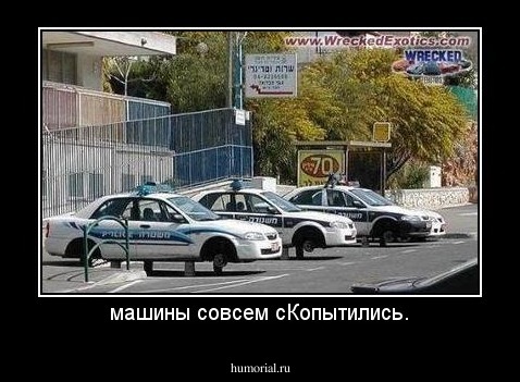 машины совсем сКопытились.