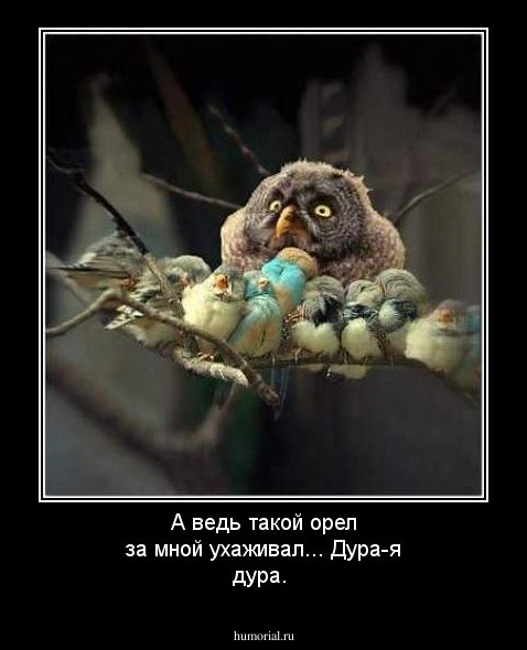 А ведь такой орел за мной ухаживал... Дура-я дура.