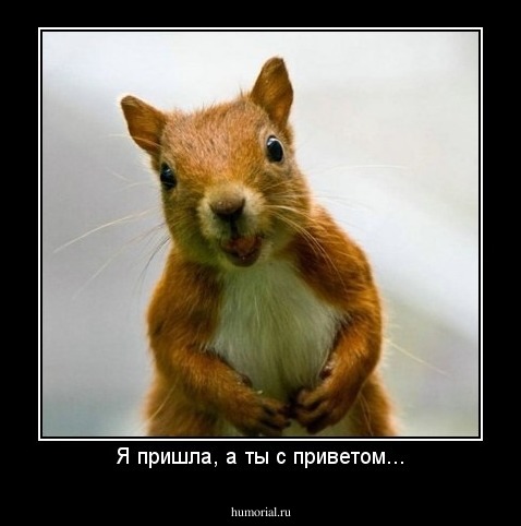 Я пришла, а ты с приветом...