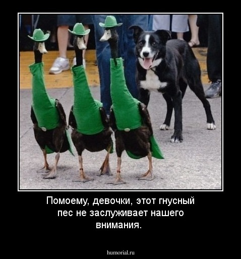 Помоему, девочки, этот гнусный пес не заслуживает нашего внимания.