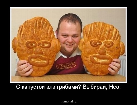  С капустой или грибами? Выбирай, Нео. 