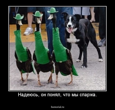 Надеюсь, он понял, что мы спаржа.