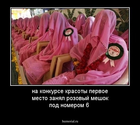 на конкурсе красоты первое место занял розовый мешок под номером 6 
