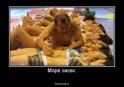 Море сисек.