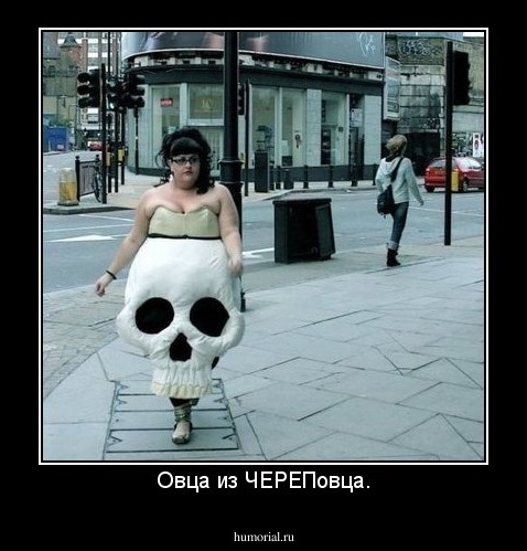 Овца из ЧЕРЕПовца.