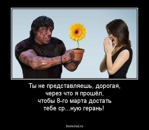 Ты не представляешь, дорогая, через что я прошёл, чтобы 8-го марта достать тебе ср...ную герань!