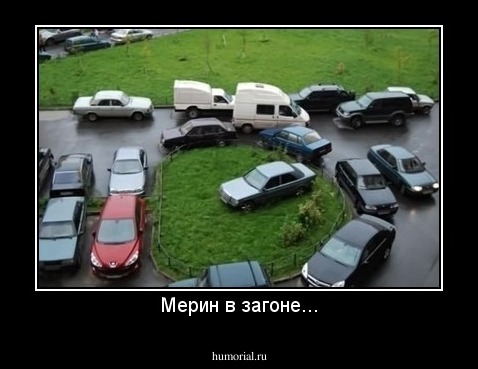 Мерин в загоне...