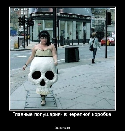 Главные полушария- в черепной коробке.