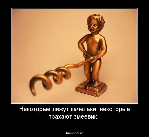 Некоторые лижут качельки, некоторые трахают змеевик.