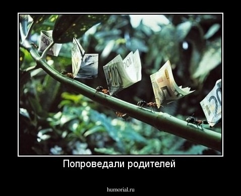 Попроведали родителей 