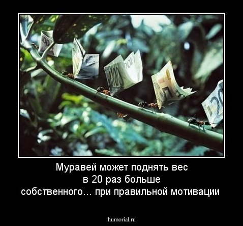 Муравей может поднять вес в 20 раз больше собственного... при правильной мотивации
