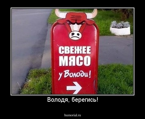 Володя, берегись!