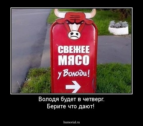 Володя будет в четверг. Берите  что дают!