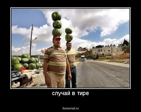 случай в тире