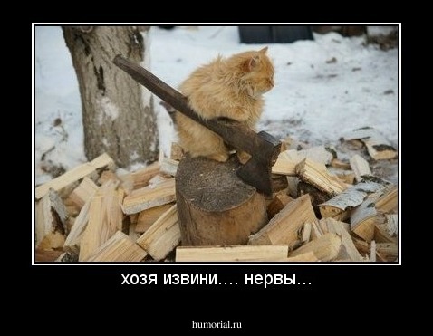 хозя извини.... нервы...