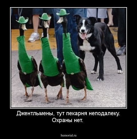 Джентльмены, тут пекарня неподалеку. Охраны нет.