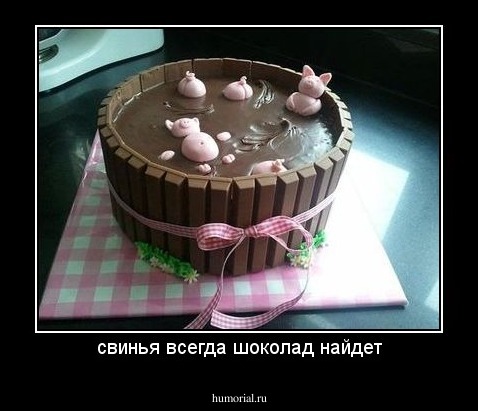 свинья всегда шоколад найдет