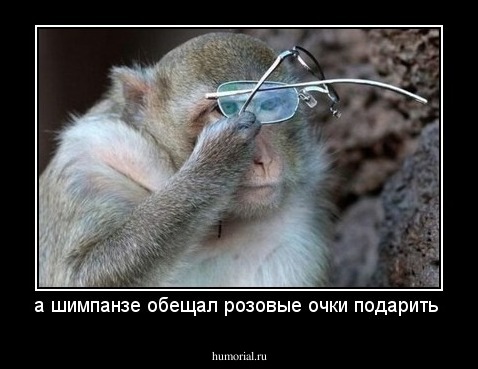 а шимпанзе обещал розовые очки подарить 
