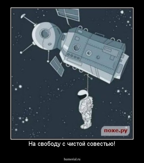 На свободу с чистой совестью!