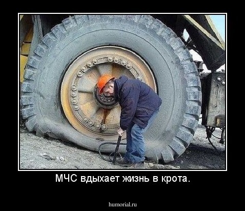 МЧС вдыхает жизнь в крота.