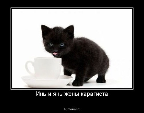 Инь и янь жены каратиста