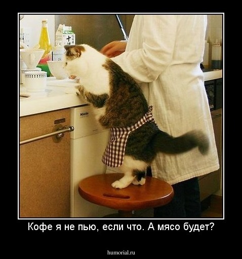Кофе я не пью, если что. А мясо будет?