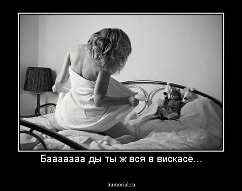 Бааааааа ды ты ж вся в вискасе...