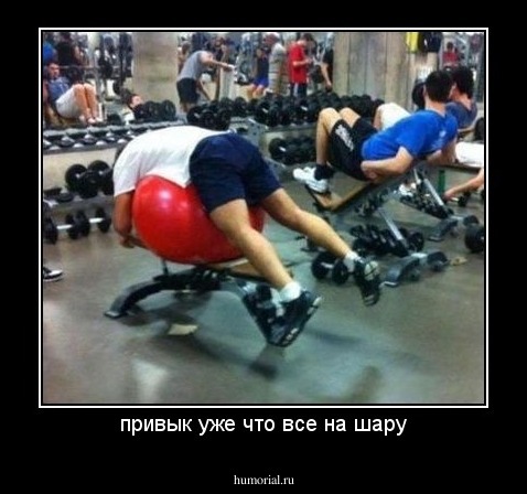 привык уже что все на шару