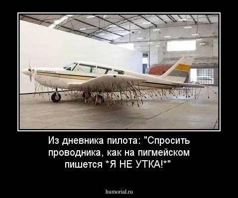 Из дневника пилота: "Спросить проводника, как на пигмейском  пишется *Я НЕ УТКА!*"