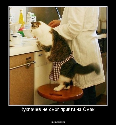 Куклачев не смог прийти на Смак.