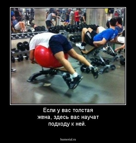 Если у вас  толстая жена, здесь  вас научат подходу к ней.