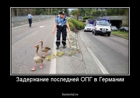 Задержание последней ОПГ в Германии