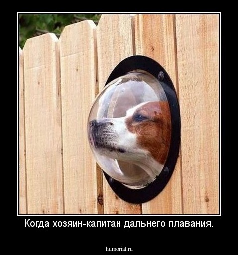 Когда хозяин-капитан дальнего плавания.