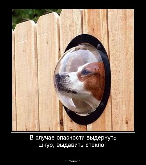В случае опасности выдернуть шнур, выдавить стекло!