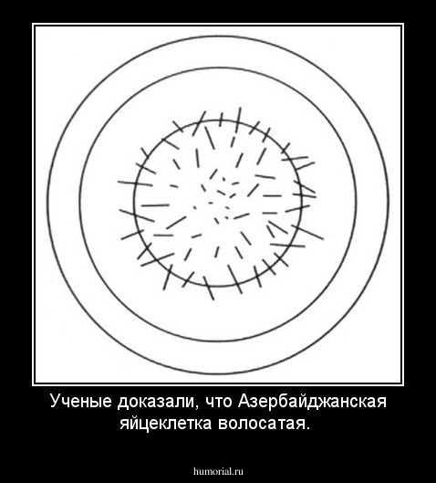 Ученые доказали, что Азербайджанская яйцеклетка волосатая.