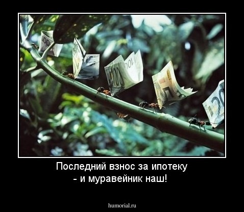 Последний взнос за ипотеку - и муравейник наш!