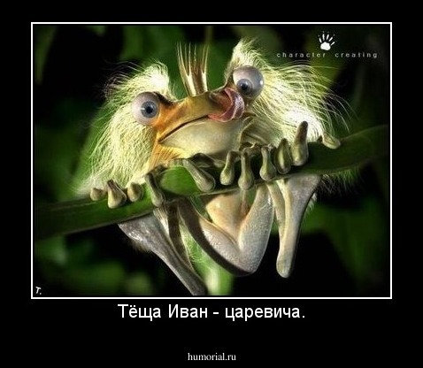 Тёща Иван - царевича.