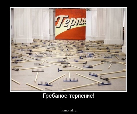 Гребаное терпение!